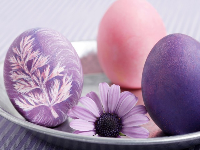 easter-plate-egg-flower-holidays-480x640[1]