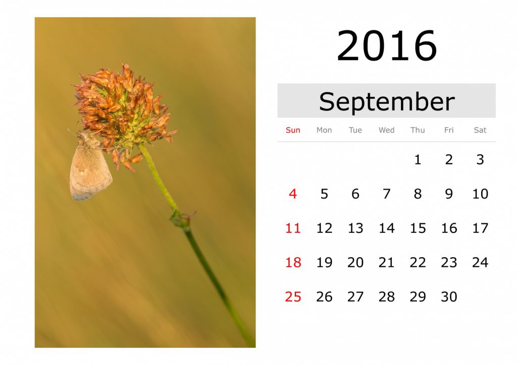 календарь сентябрь 2016