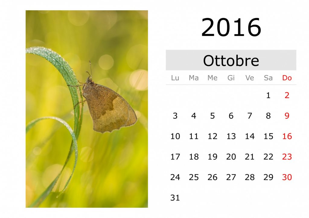 итальянский календарь октябрь 2016