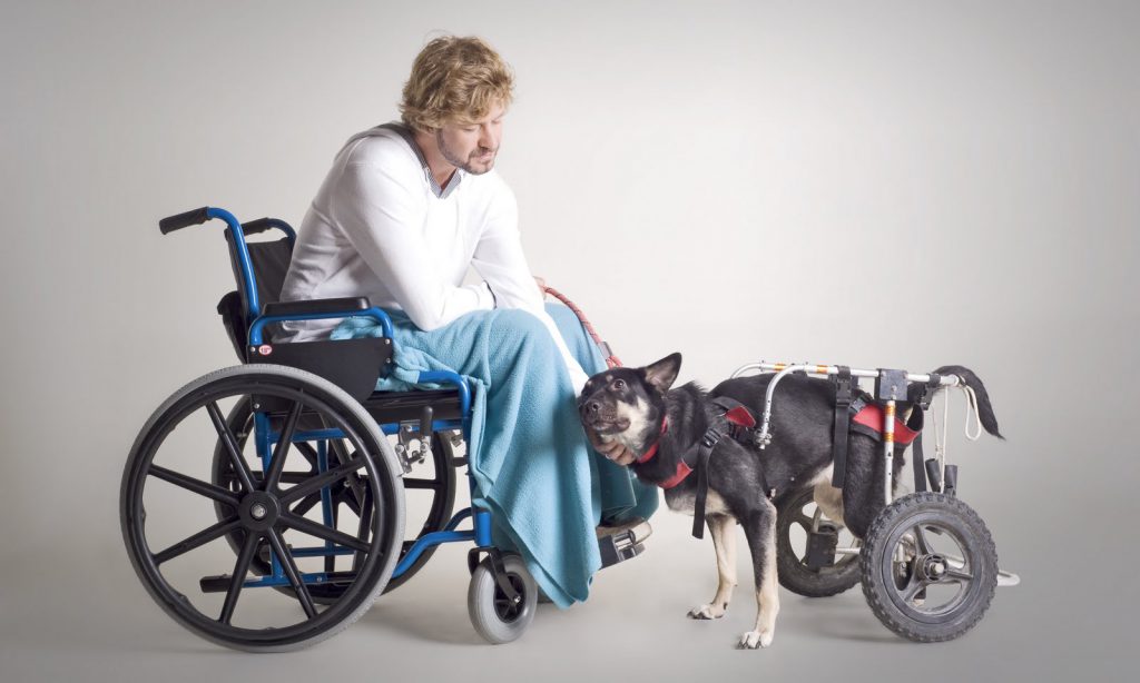 инвалид мужчина и собака инвалид