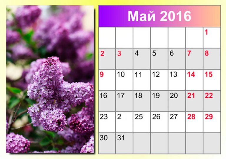 19 май 2016. Календарь май. Май 2016 года календарь. Календарь на май месяц. Календарь мая 2016.
